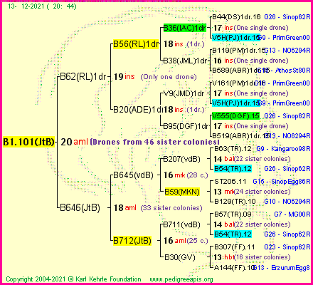 Pedigree of B1.101(JtB) :
four generations presented
it's temporarily unavailable, sorry!