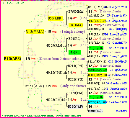 Pedigree of B10(ABR) :
four generations presented