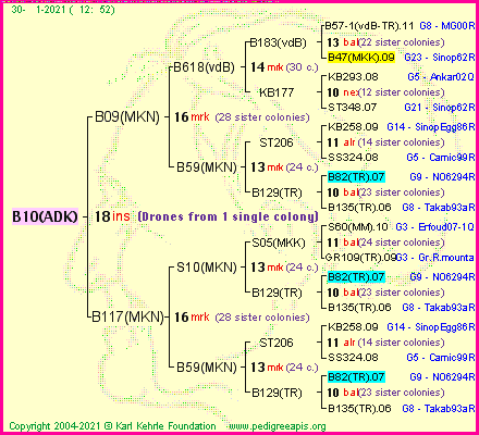 Pedigree of B10(ADK) :
four generations presented
it's temporarily unavailable, sorry!