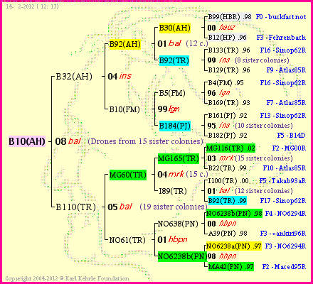 Pedigree of B10(AH) :
four generations presented