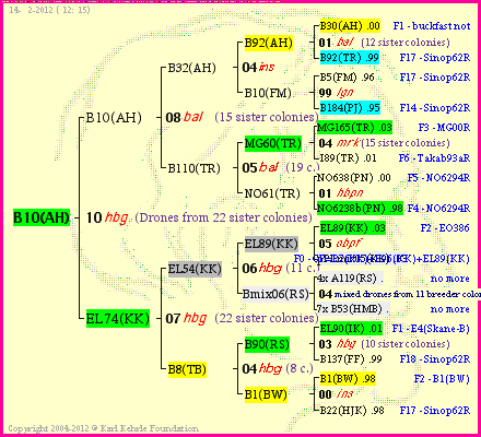 Pedigree of B10(AH) :
four generations presented