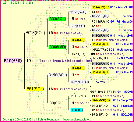 Pedigree of B10(ASO) :
four generations presented
it's temporarily unavailable, sorry!