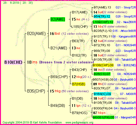 Pedigree of B10(CHE) :
four generations presented<br />it's temporarily unavailable, sorry!