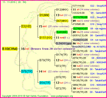 Pedigree of B10(CHM) :
four generations presented<br />it's temporarily unavailable, sorry!