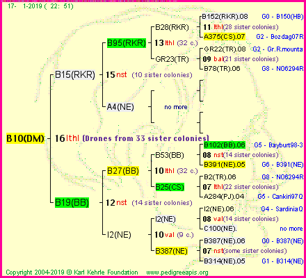 Pedigree of B10(DM) :
four generations presented<br />it's temporarily unavailable, sorry!