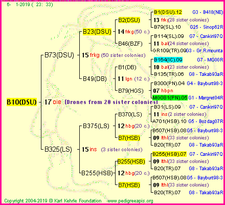 Pedigree of B10(DSU) :
four generations presented<br />it's temporarily unavailable, sorry!