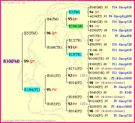 Pedigree of B10(FM) :
four generations presented<br />it's temporarily unavailable, sorry!