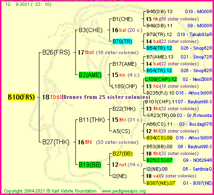 Pedigree of B10(FRS) :
four generations presented
it's temporarily unavailable, sorry!