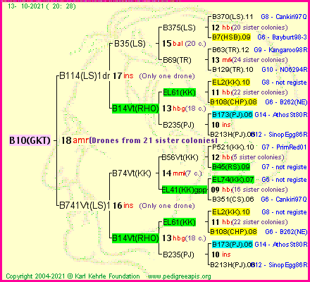 Pedigree of B10(GKT) :
four generations presented
it's temporarily unavailable, sorry!