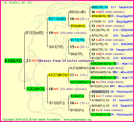 Pedigree of B10(GSS) :
four generations presented
it's temporarily unavailable, sorry!