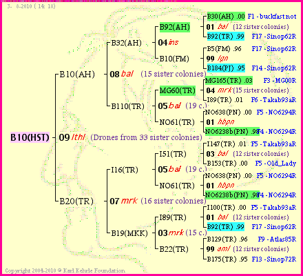 Pedigree of B10(HST) :
four generations presented