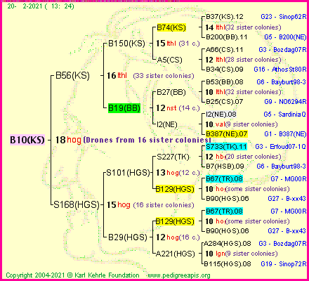 Pedigree of B10(KS) :
four generations presented
it's temporarily unavailable, sorry!