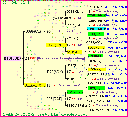 Pedigree of B10(LUD) :
four generations presented
it's temporarily unavailable, sorry!