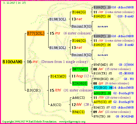 Pedigree of B10(MAN) :
four generations presented<br />it's temporarily unavailable, sorry!