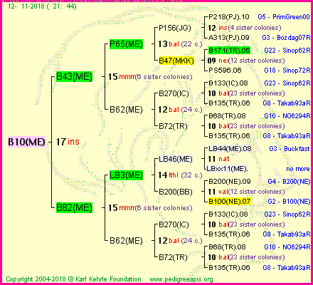 Pedigree of B10(ME) :
four generations presented<br />it's temporarily unavailable, sorry!