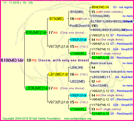 Pedigree of B10(ME)1dr :
four generations presented
it's temporarily unavailable, sorry!