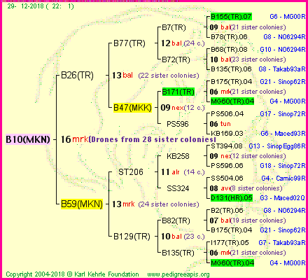 Pedigree of B10(MKN) :
four generations presented<br />it's temporarily unavailable, sorry!