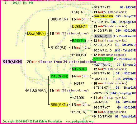 Pedigree of B10(MKN) :
four generations presented
it's temporarily unavailable, sorry!