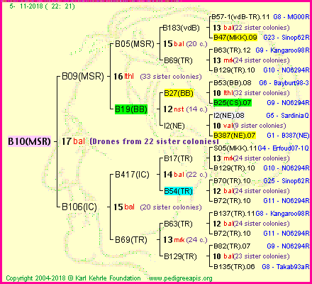 Pedigree of B10(MSR) :
four generations presented<br />it's temporarily unavailable, sorry!