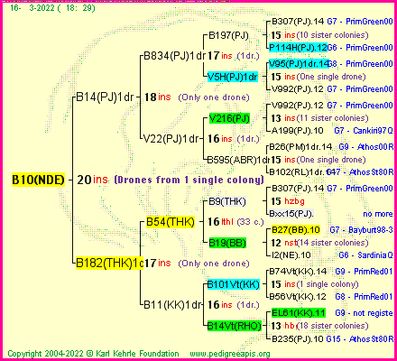 Pedigree of B10(NDE) :
four generations presented
it's temporarily unavailable, sorry!