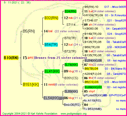 Pedigree of B10(RN) :
four generations presented
it's temporarily unavailable, sorry!