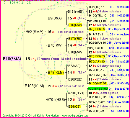 Pedigree of B10(SMA) :
four generations presented
it's temporarily unavailable, sorry!