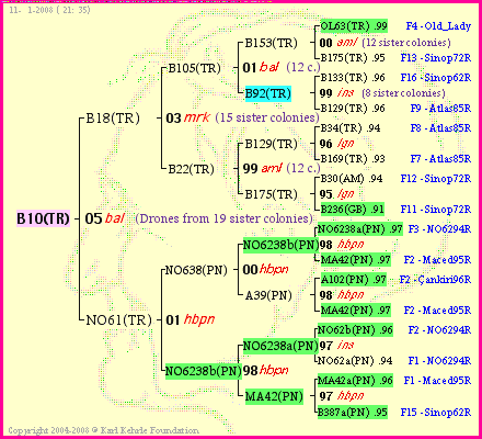 Pedigree of B10(TR) :
four generations presented
it's temporarily unavailable, sorry!