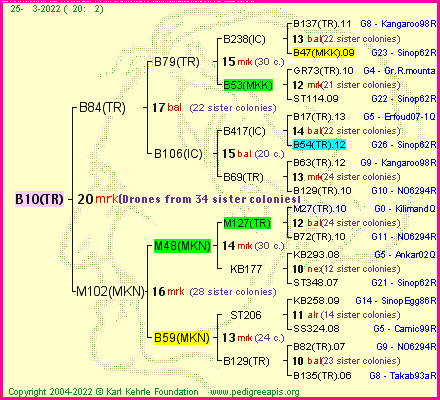 Pedigree of B10(TR) :
four generations presented
it's temporarily unavailable, sorry!