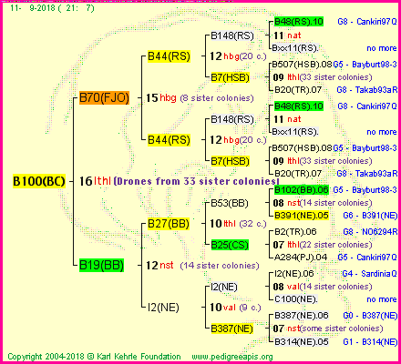 Pedigree of B100(BC) :
four generations presented<br />it's temporarily unavailable, sorry!