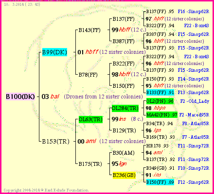Pedigree of B100(DK) :
four generations presented