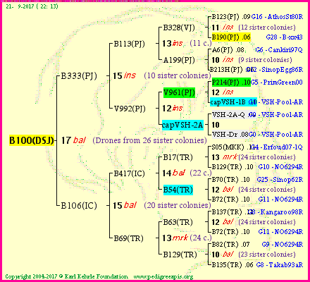 Pedigree of B100(DSJ) :
four generations presented
it's temporarily unavailable, sorry!