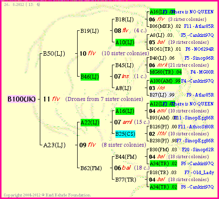 Pedigree of B100(JK) :
four generations presented