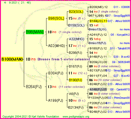 Pedigree of B100(MAN) :
four generations presented
it's temporarily unavailable, sorry!