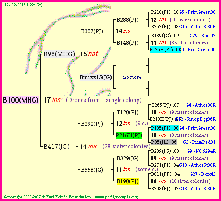 Pedigree of B100(MHG) :
four generations presented