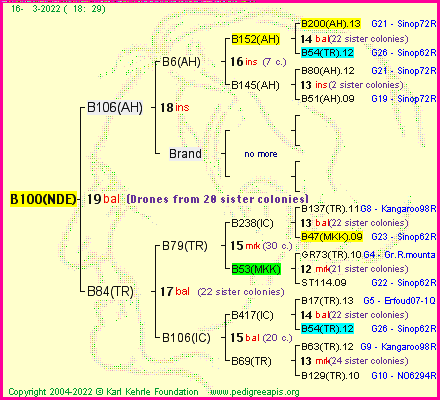 Pedigree of B100(NDE) :
four generations presented
it's temporarily unavailable, sorry!