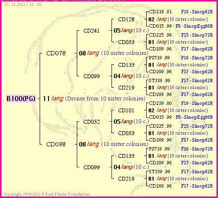 Pedigree of B100(PG) :
four generations presented