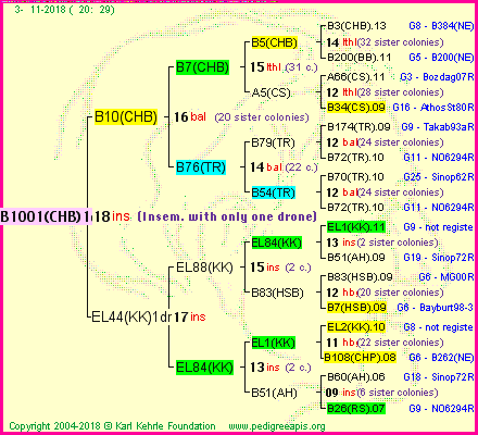 Pedigree of B1001(CHB)1dr :
four generations presented
it's temporarily unavailable, sorry!