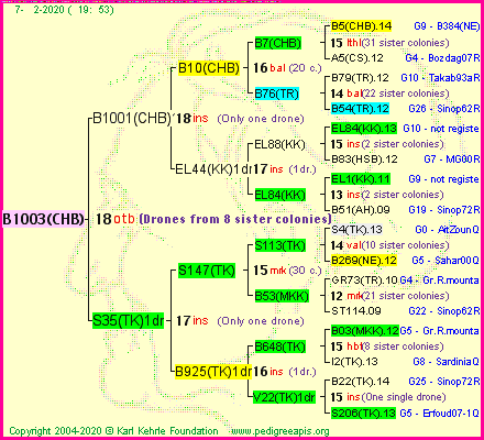 Pedigree of B1003(CHB) :
four generations presented
it's temporarily unavailable, sorry!