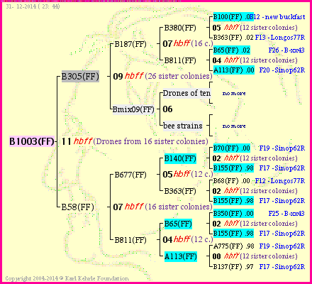 Pedigree of B1003(FF) :
four generations presented
it's temporarily unavailable, sorry!