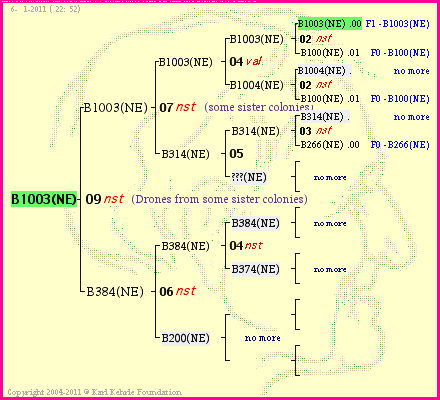 Pedigree of B1003(NE) :
four generations presented