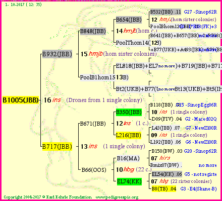 Pedigree of B1005(JBB) :
four generations presented<br />it's temporarily unavailable, sorry!