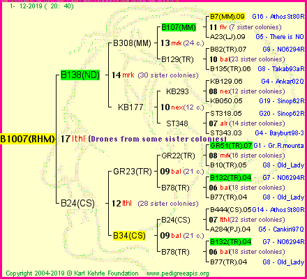 Pedigree of B1007(RHM) :
four generations presented
it's temporarily unavailable, sorry!