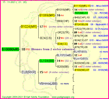 Pedigree of B1008(MR) :
four generations presented
it's temporarily unavailable, sorry!