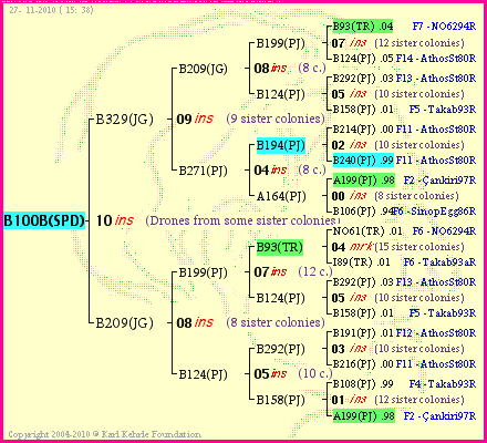 Pedigree of B100B(SPD) :
four generations presented