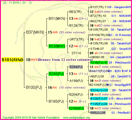 Pedigree of B101(AVM) :
four generations presented
it's temporarily unavailable, sorry!