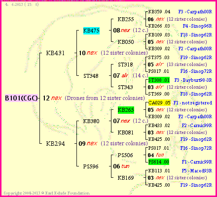 Pedigree of B101(CGC) :
four generations presented