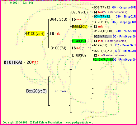 Pedigree of B101(KA) :
four generations presented
it's temporarily unavailable, sorry!