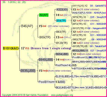 Pedigree of B101(KKI) :
four generations presented<br />it's temporarily unavailable, sorry!