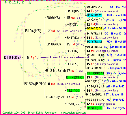 Pedigree of B101(KS) :
four generations presented
it's temporarily unavailable, sorry!