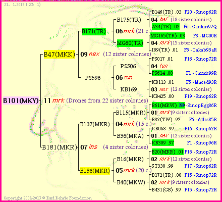 Pedigree of B101(MKY) :
four generations presented
it's temporarily unavailable, sorry!